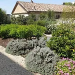 Olivola