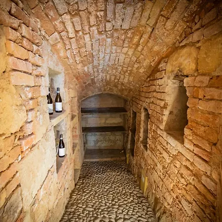 Casa de hóspedes Olivola