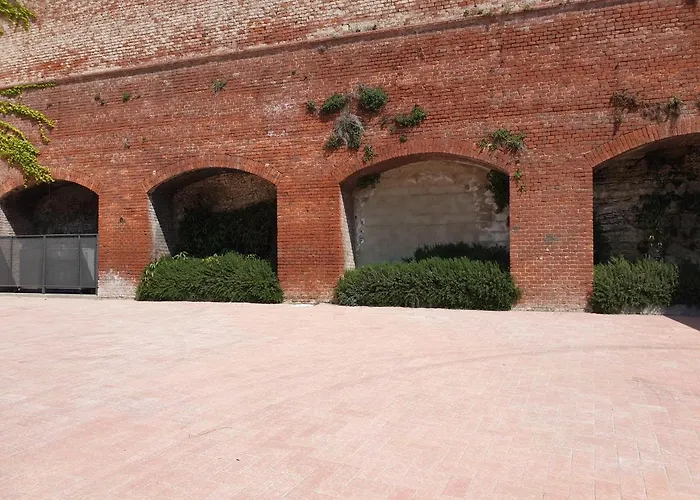 Olivola Frassinello