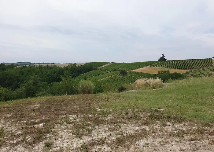 Gasthuis Olivola