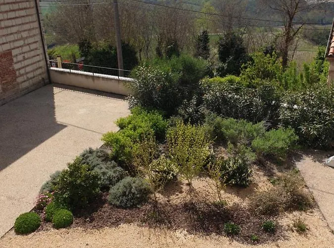 Гостевой дом Olivola 4*